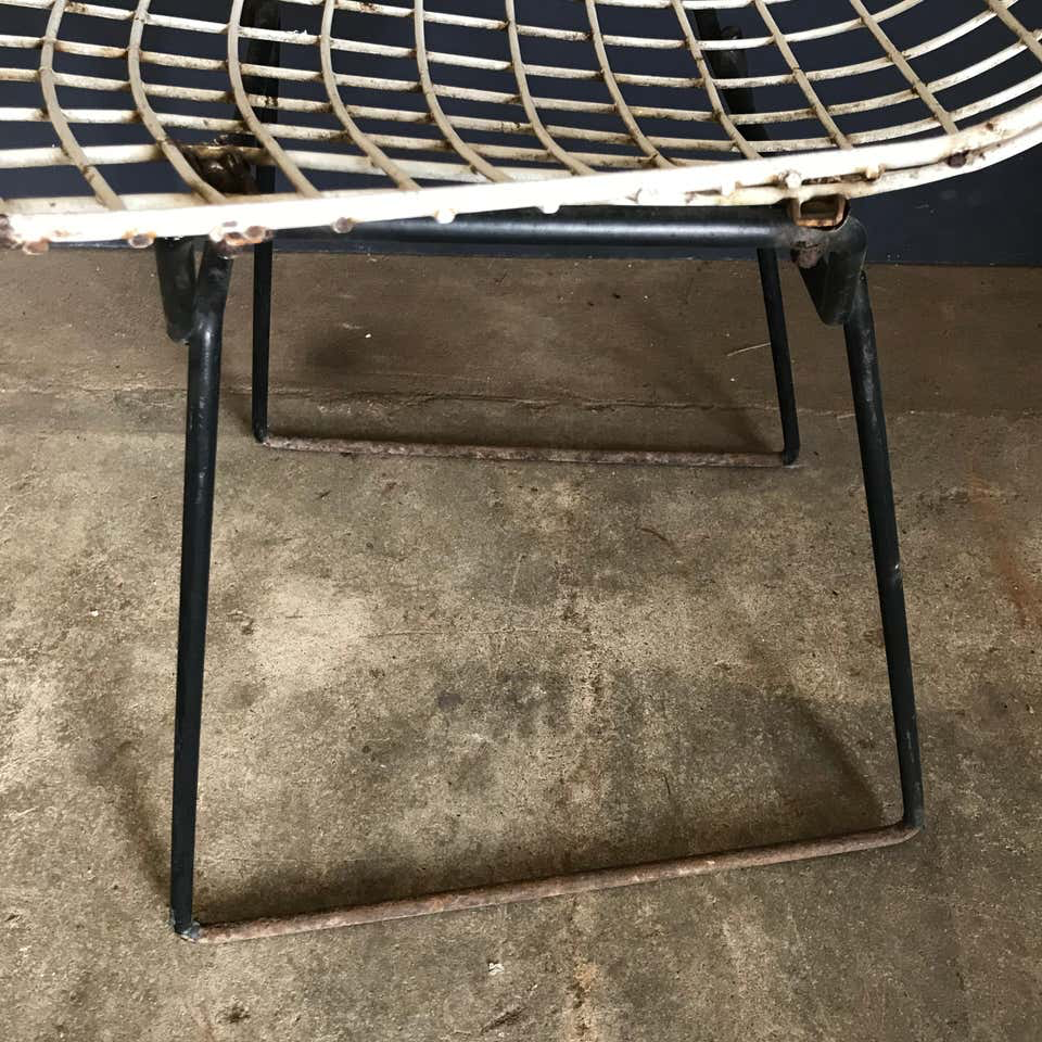 Harrie Bertoia for Knoll International, Wire Dining Chairs - Image 3