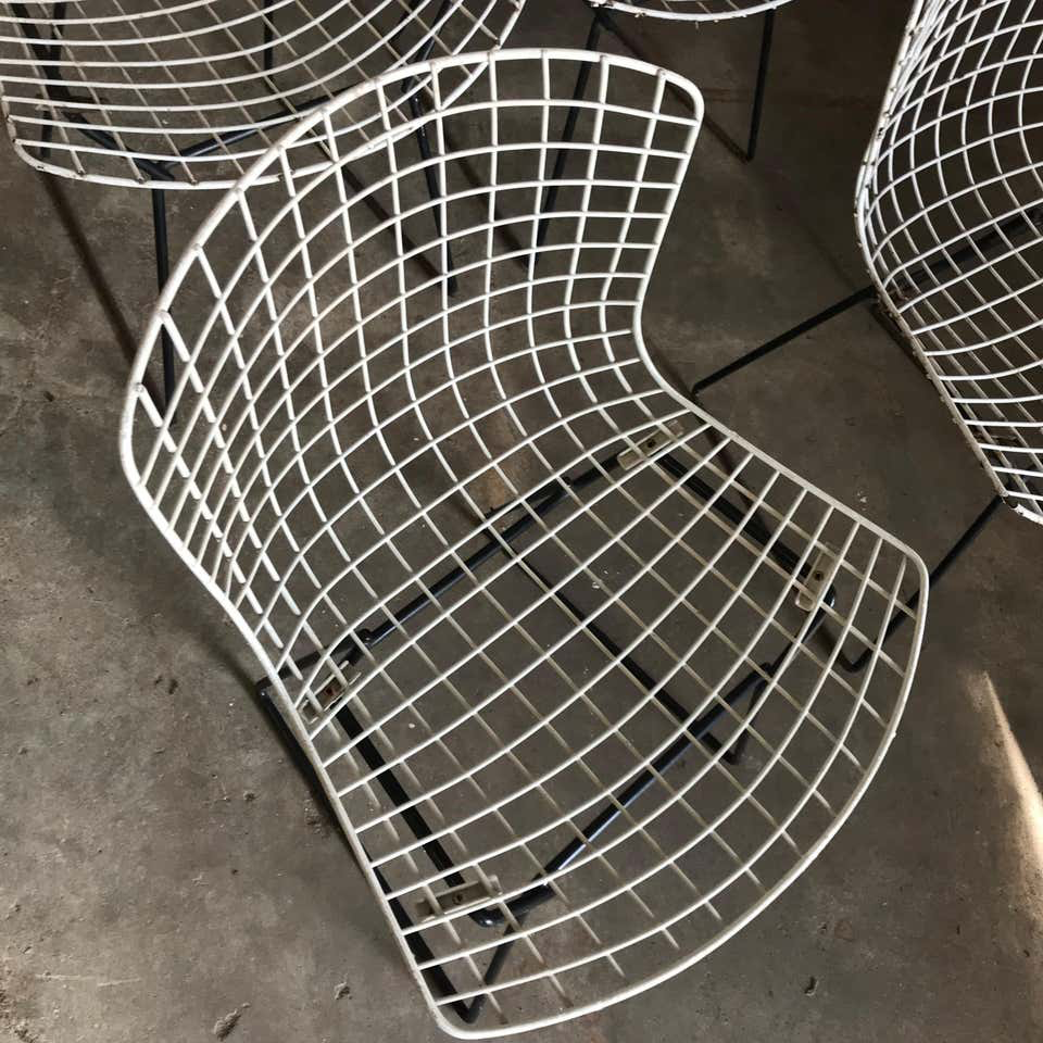 Harrie Bertoia for Knoll International, Wire Dining Chairs - Image 4